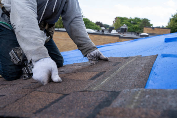 Best Flat Roof Repair Services  in Lawrencevle, IL