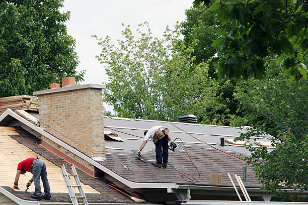 Best Roof Gutter Cleaning  in Lawrencevle, IL